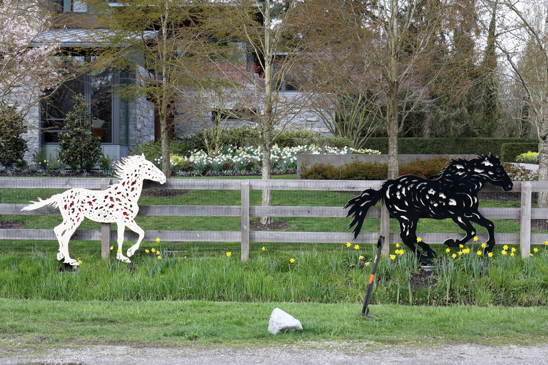 Illustration for article titled Pics from the (Stable)side: 2018-04-15 to Southlands